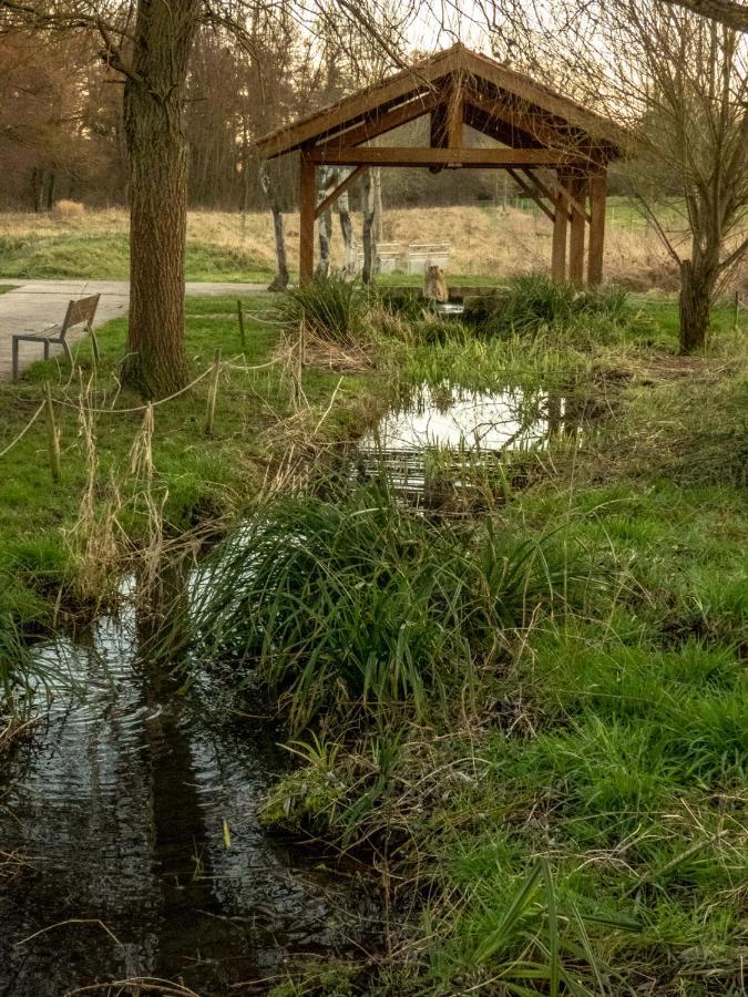 Гостевой дом Le Domaine Des Droles De Dames Buding Экстерьер фото